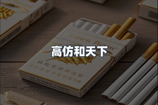 高仿和天下